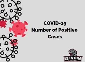 COVID-19 Number of Positive Cases