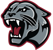 Football Playoff Game Round 1 Tickets