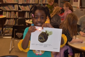 Second grade and Sea Creatures